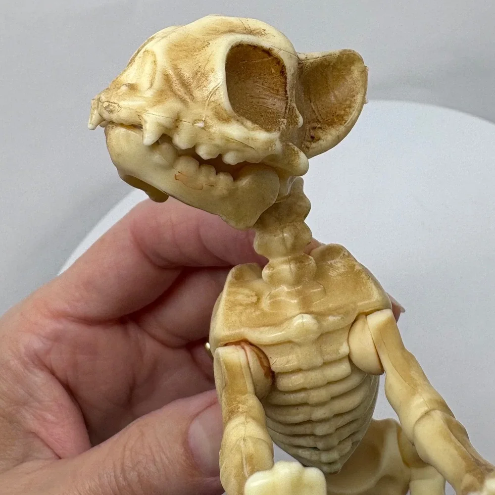 Articulated Cat Skeleton Halloween Figurine Posable Plastic Bone Decor 7 Inch